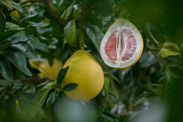 Pomelo a karambola – ovoce, které klame slupkou